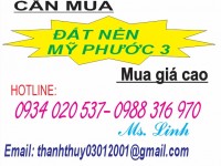 CẦN MUA ĐẤT MỸ PHƯỚC 3 BÌNH DƯƠNG