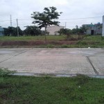 lô A20 Nha bích